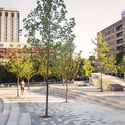 Miller Park In Downtown Chattanooga / Spackman Mossop Michaels + Eskew Dumez Ripple - Exterior Photography, Park, Facade