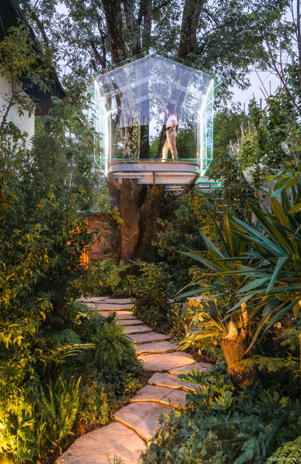 Gallery of Broissin Arquitectos Reinterprets the Tree House in Glass 11