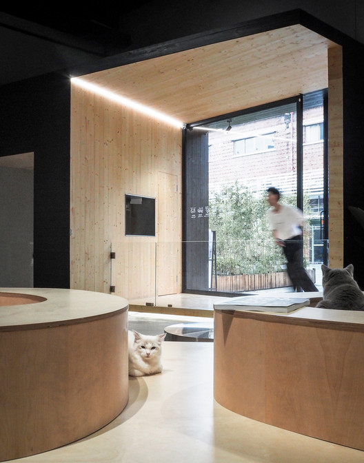 Meow Restaurant / E Studio - Imagen 8 de 29