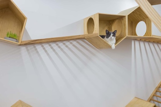 Café de gatos TRYST / Parallect Dedign - Imagen 30 de 50