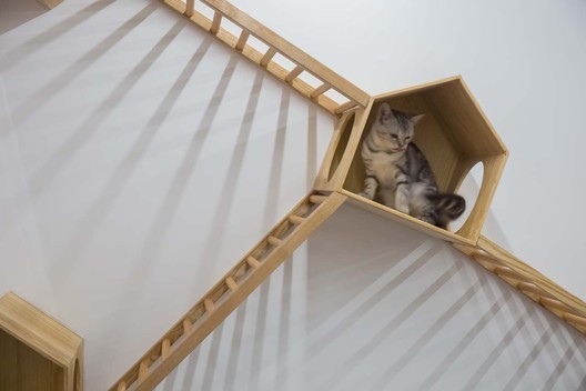 Café de gatos TRYST / Parallect Dedign - Imagen 24 de 50