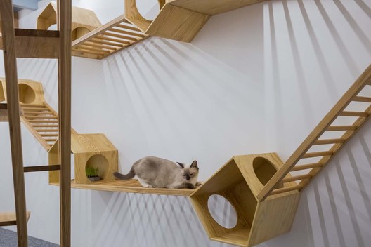 Café de gatos TRYST / Parallect Dedign - Imagen 28 de 50