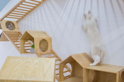 Café de gatos TRYST / Parallect Dedign - Imagen 32 de 50