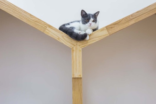 Café de gatos TRYST / Parallect Dedign - Imagen 34 de 50