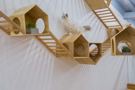 Café de gatos TRYST / Parallect Dedign - Imagen 5 de 50