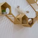 Café de gatos TRYST / Parallect Dedign - Imagen 5 de 50