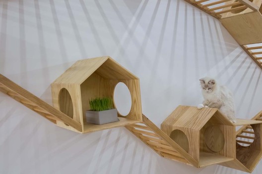 Café de gatos TRYST / Parallect Dedign - Imagen 25 de 50