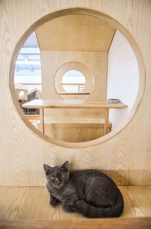 Café de gatos TRYST / Parallect Dedign - Imagen 27 de 50
