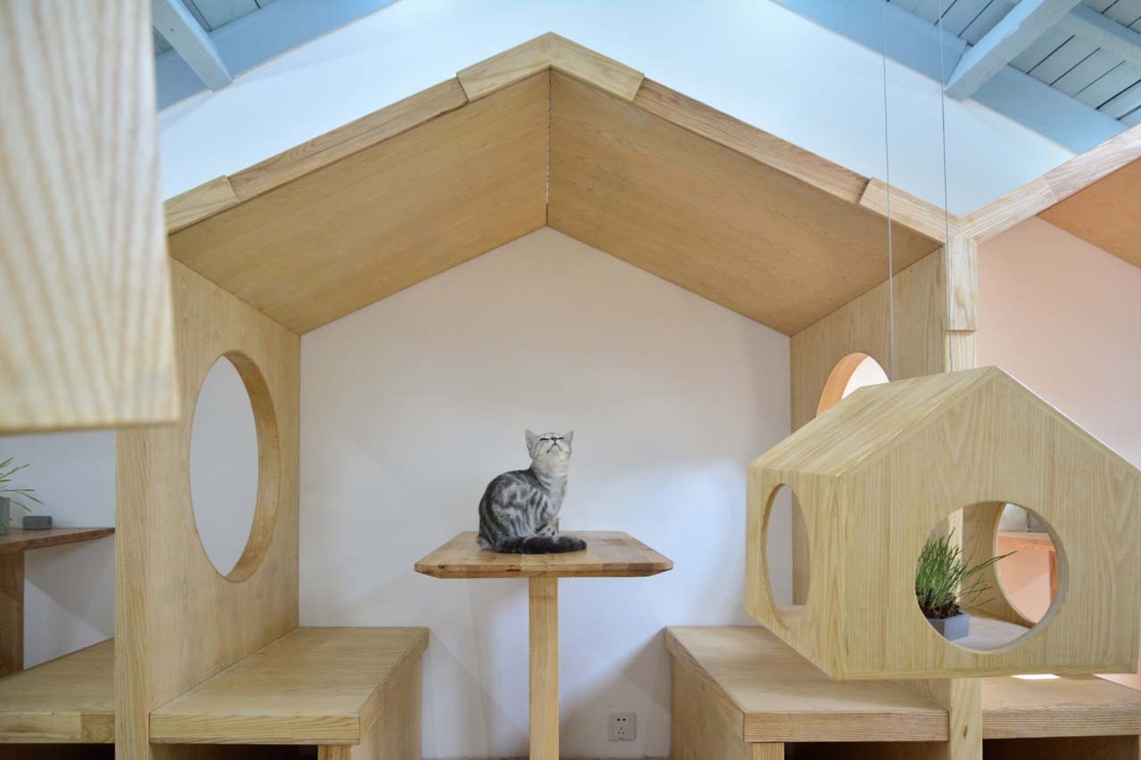 Gallery Of Cat Cafe Tryst Parallect Dedign 20