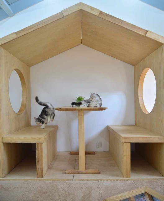 Café de gatos TRYST / Parallect Dedign - Imagen 19 de 50