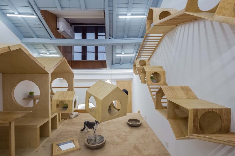 Cat Café TRYST / Parallect Dedign ArchDaily