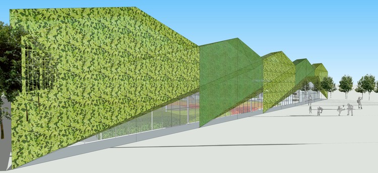 Elevation