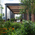 COOKFOX 工作室 / COOKFOX Architects - 办公室内设计