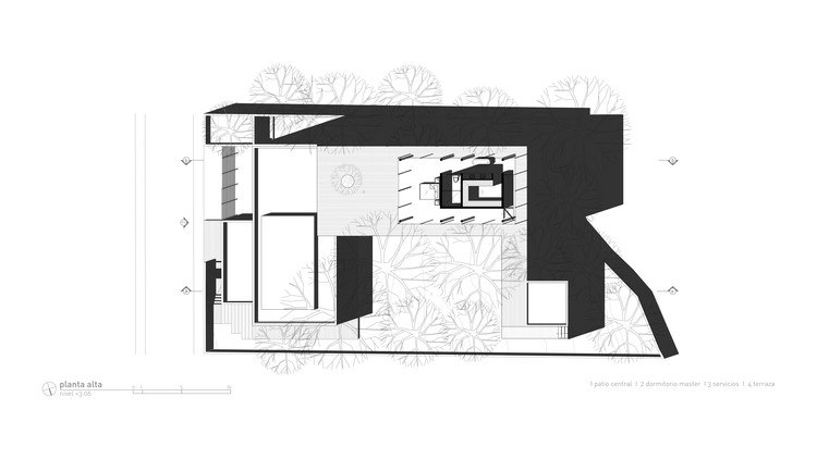 Planta - Superior