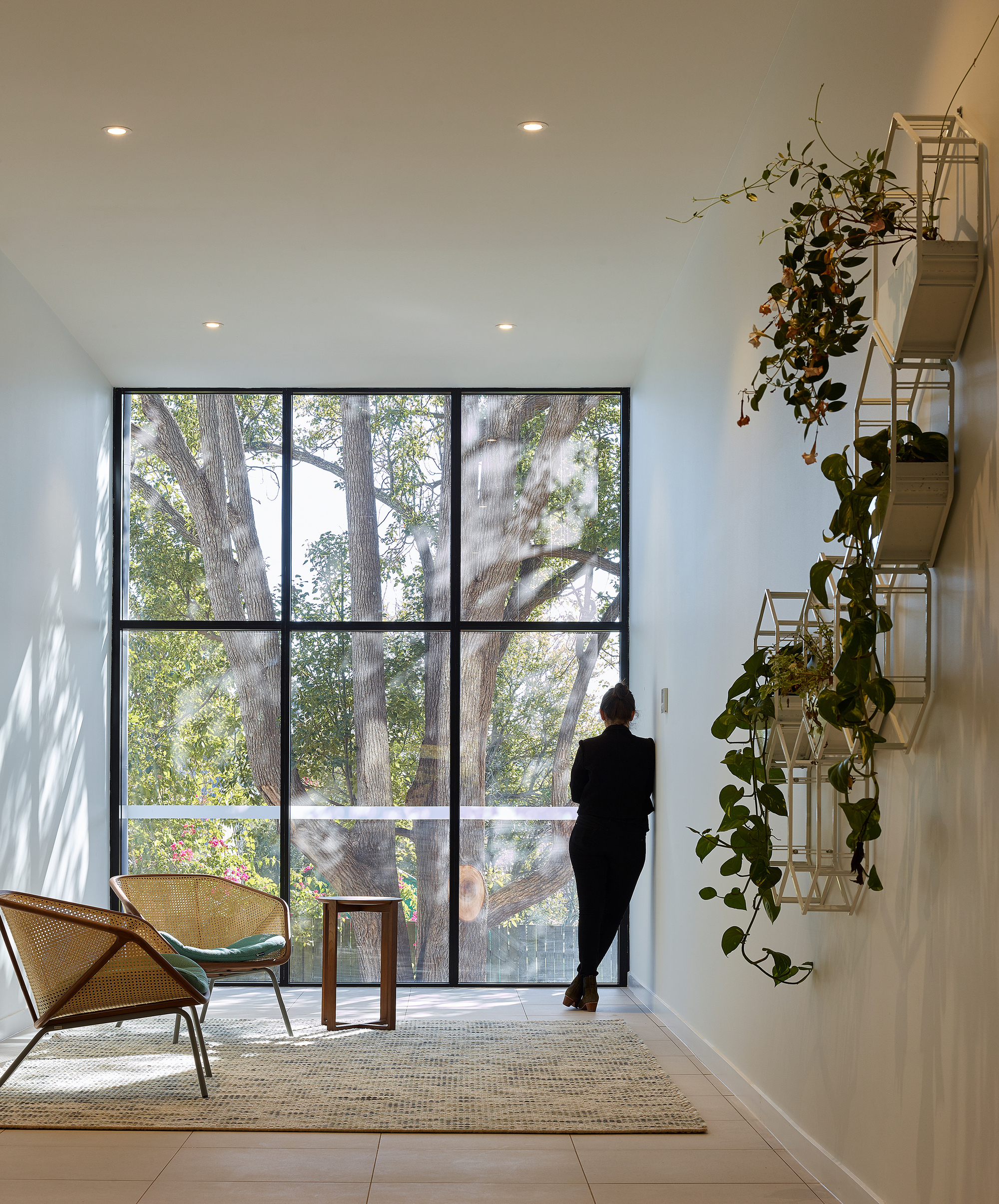 Gallery of Kingsford Terrace / O'Neill Architecture 3