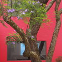 Clásicos de Arquitectura: Casa Gilardi / Luis Barragán - Image 4 of 4