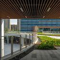 Campus Este de la Escuela Secundaria Ningbo Xiaoshi / United Design Group - Escuela Primaria