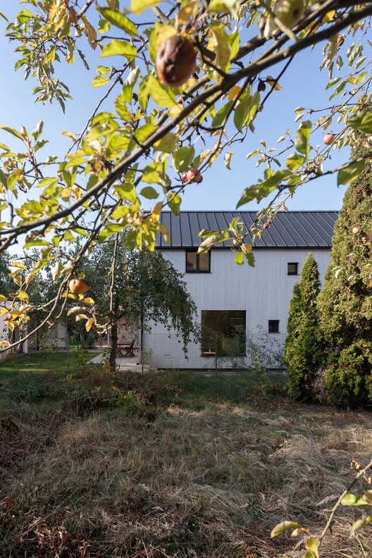 House Over the Backyard / DDAANN - Windows, Forest