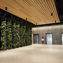 The Tallest Timber Tower in Australia Opens in Brisbane - Image 4 of 4