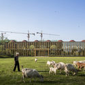 Centro de Experiência Longfu Life / LUO studio - Centro Comunitário