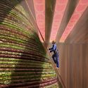 2020年迪拜世博会荷兰馆在沙漠中创造了一个临时生物群落 - Imagen 2 de 4