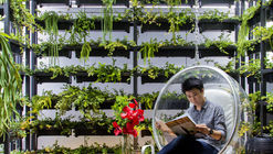 CASA LAWA / Apostrophy's