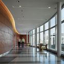 Ann＆Robert H. Lurie芝加哥儿童医院/ ZGF建筑事务所+ SCB + Anderson Mikos 建筑事务所 - 室内图, 视窗