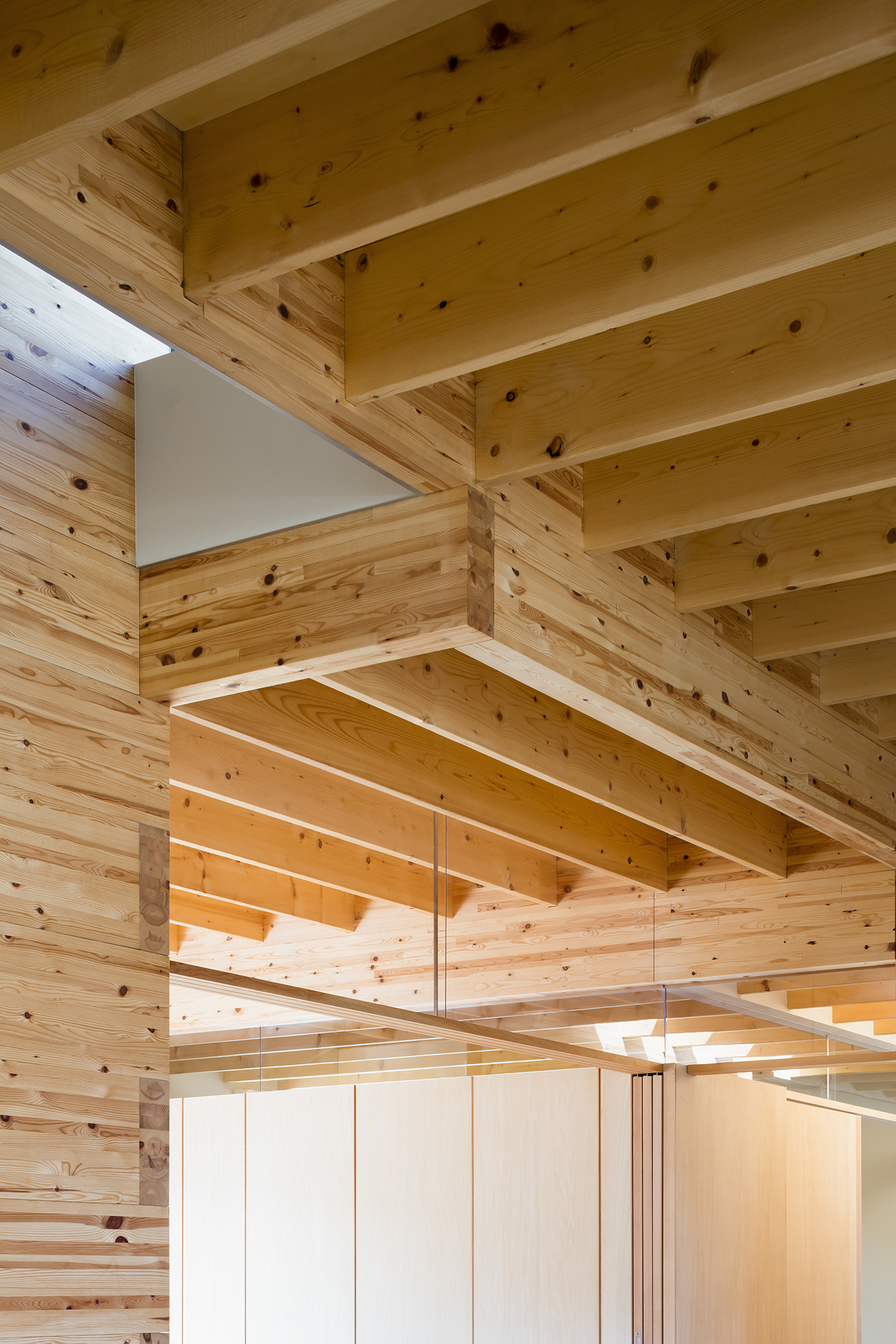 Gallery Of Three Storage Places And Eight Roofs 