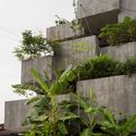 植物盒住宅 / Formzero - 可持续发展
