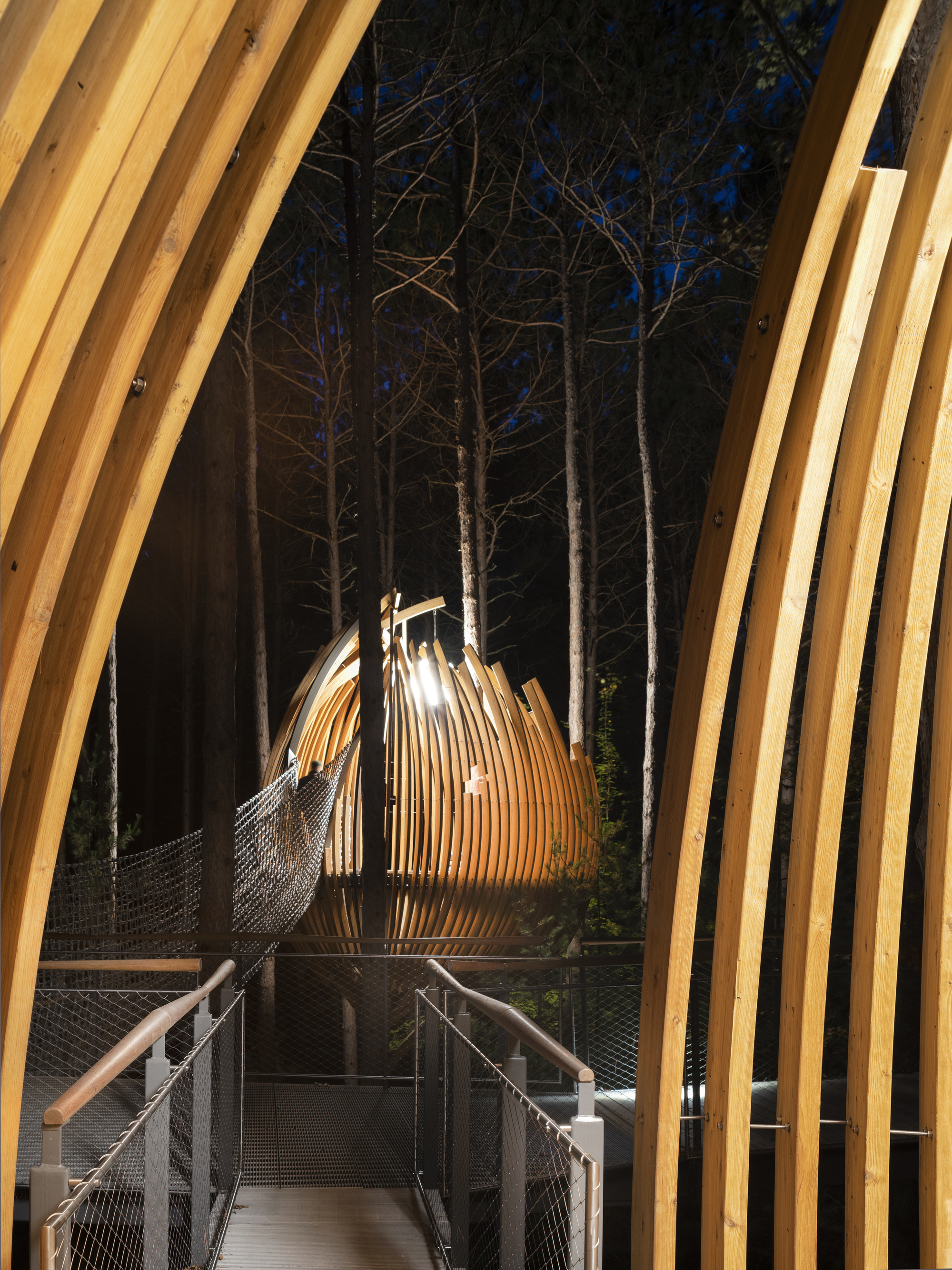 Gallery of Whiting Forest of Dow Gardens / Metcalfe 13