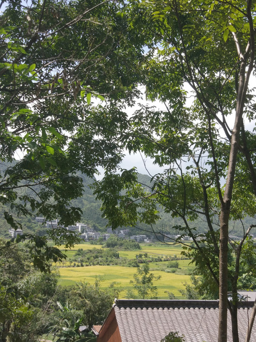 Wanfenglin Stone House / Semisótano arquitectos ( RGRM arquitectos) - Image 16 of 26