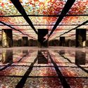 L'Atelier des Lumières / Atelier Silhouette Urbaine + Loup d'Avezac de Castéra - Reabilitação