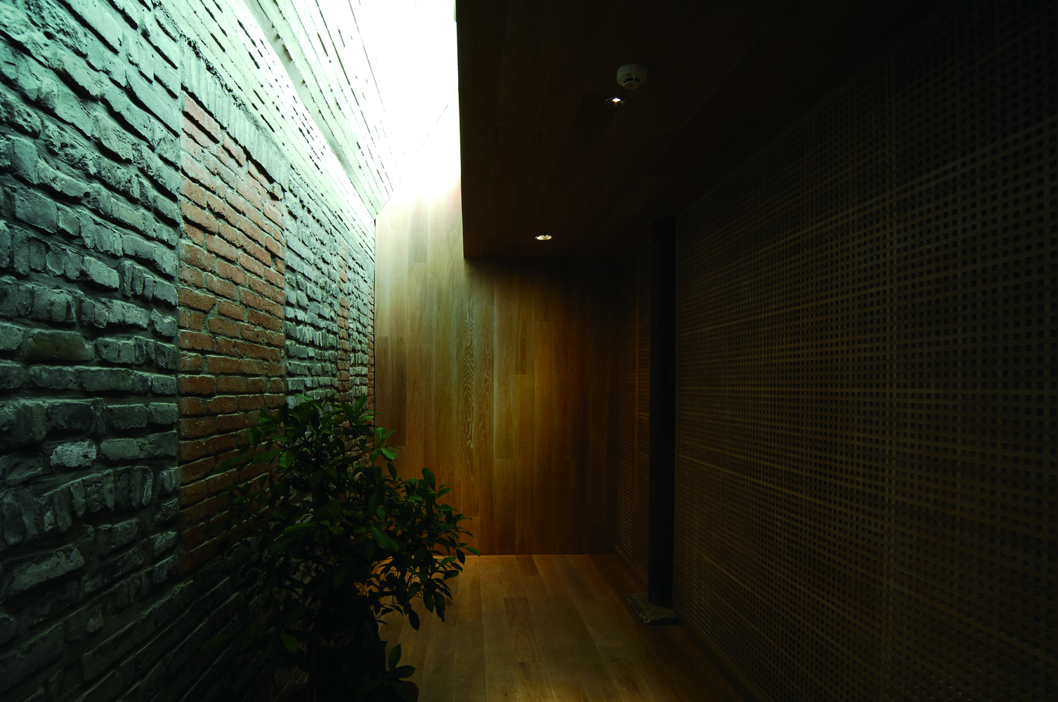 画廊 朱锫:建筑应该回应自然,而不是模仿自然 - 25