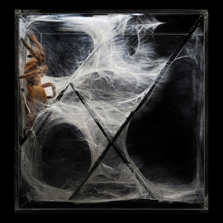 Centre Pompidou hosts Living Sculptures investigating Life in a Digital Age - Image 14 of 17