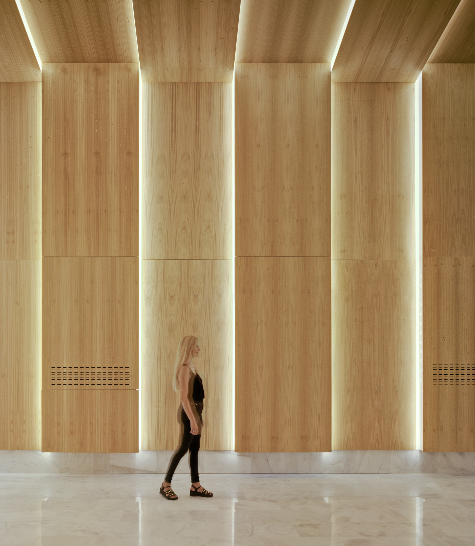 Galería de Museo de las colecciones naturales de la Universidad de ...