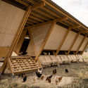 House of Chickens / SO? Architecture and Ideas - Interior Photography
