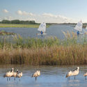 Nieuw Land National Park. Image Courtesy of Mecanoo