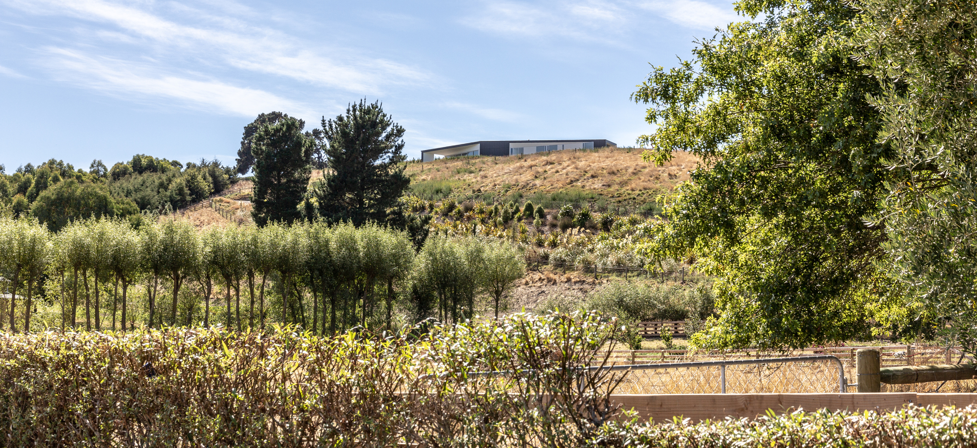 Gallery of Tai Tapu House / AW Architects 7