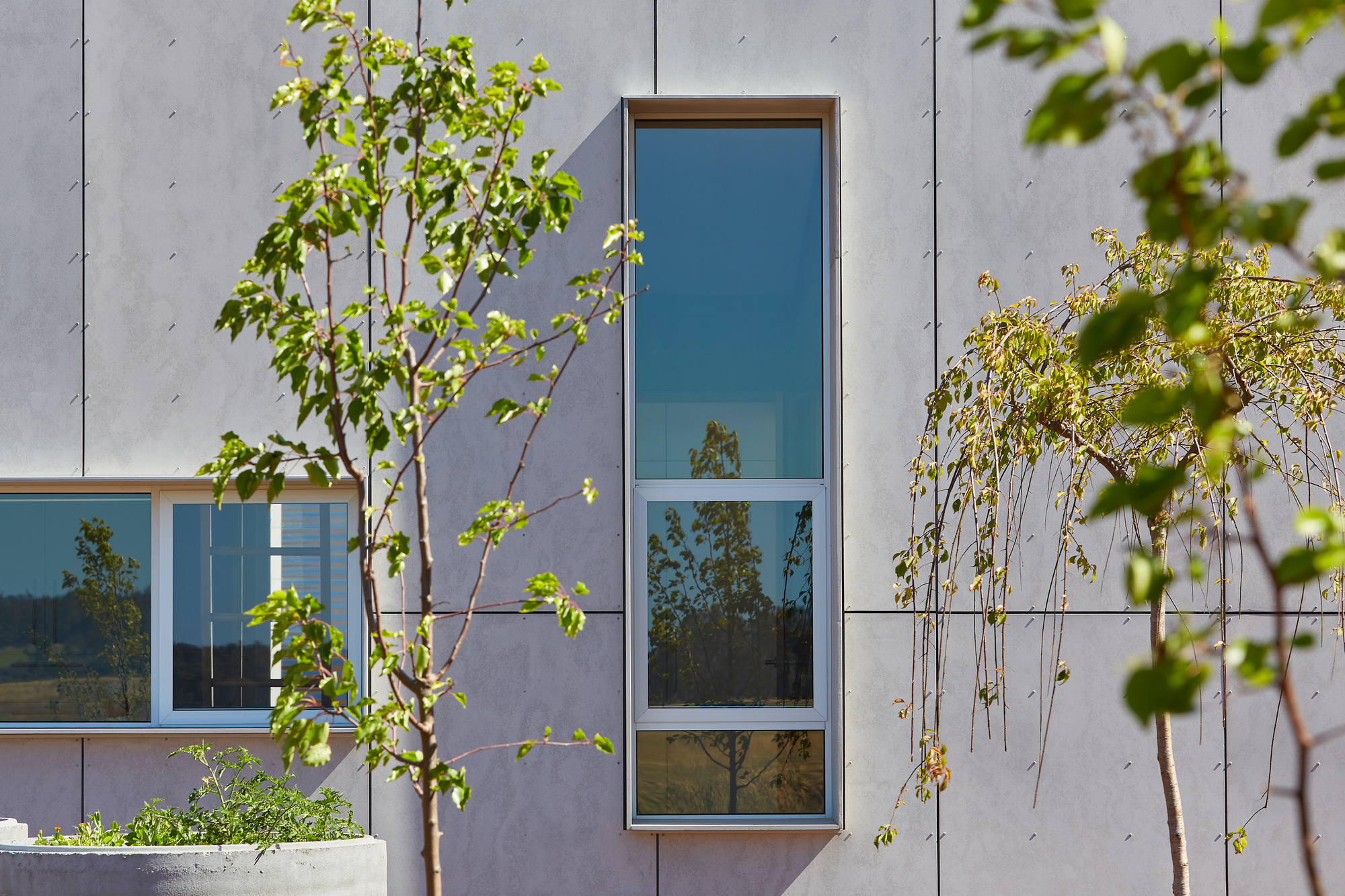 Gallery of Paddock House / Archterra Architects 16