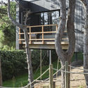 Treehouse / Atelier Victoria Migliore - Image 4 of 37