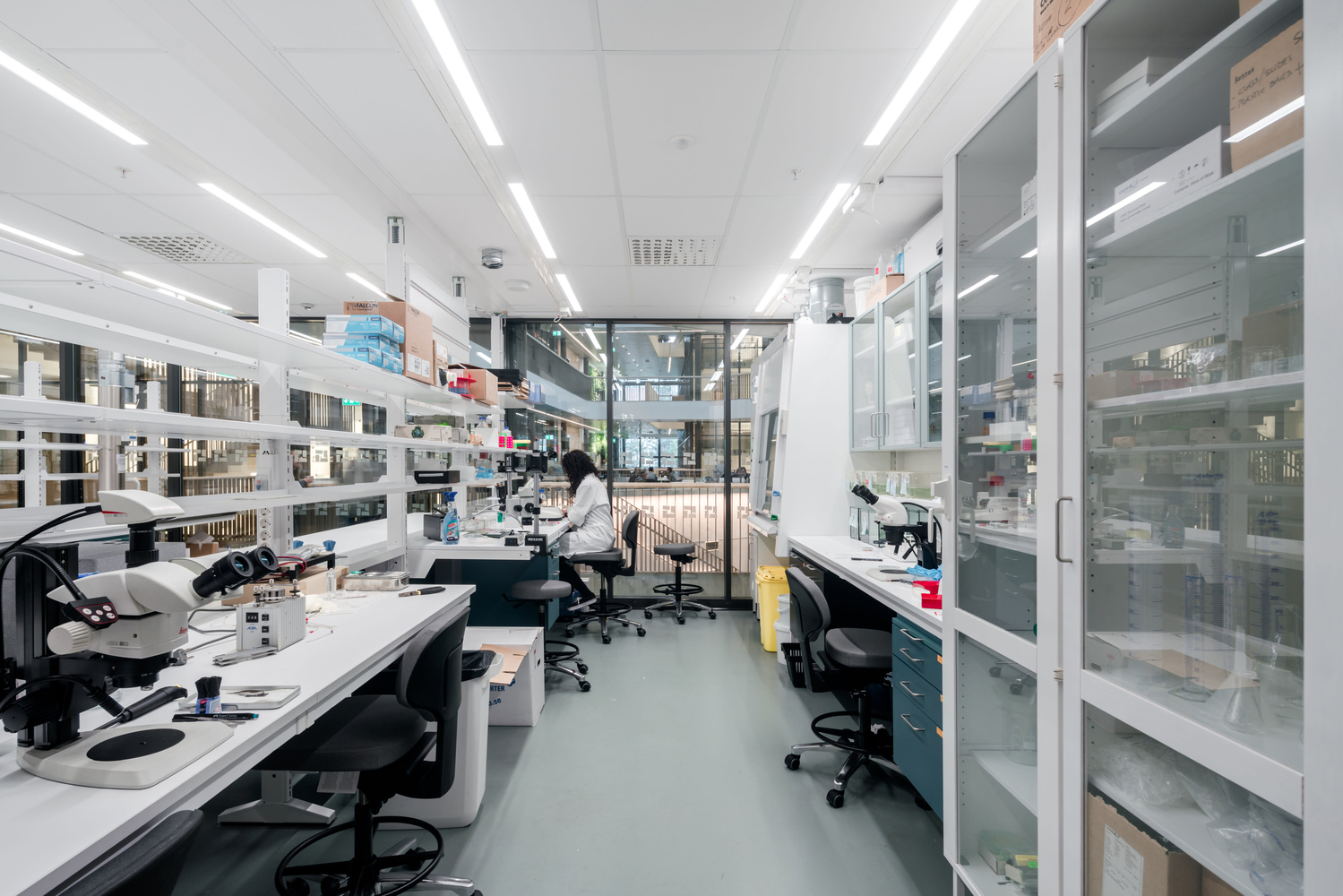 Gallery of Biomedicum Laboratory Building / C.F. Møller Architects - 16
