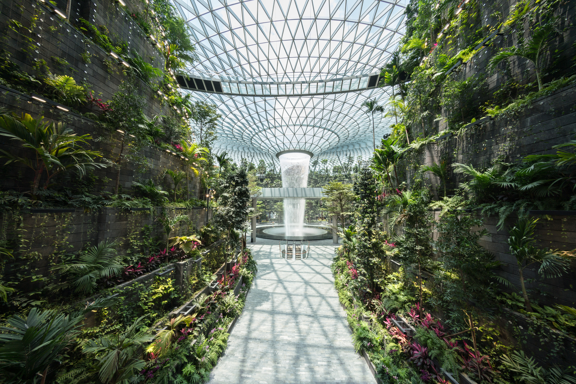 SISANDI ZAHA private jungle グリーン 12: sθәqәlxenәm ts'exwts'áxwi7/Rainbow Park – Vancouver Park