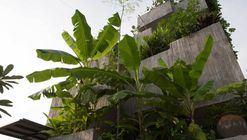 Urban Farming: Food Production in Community Parks and Private Gardens