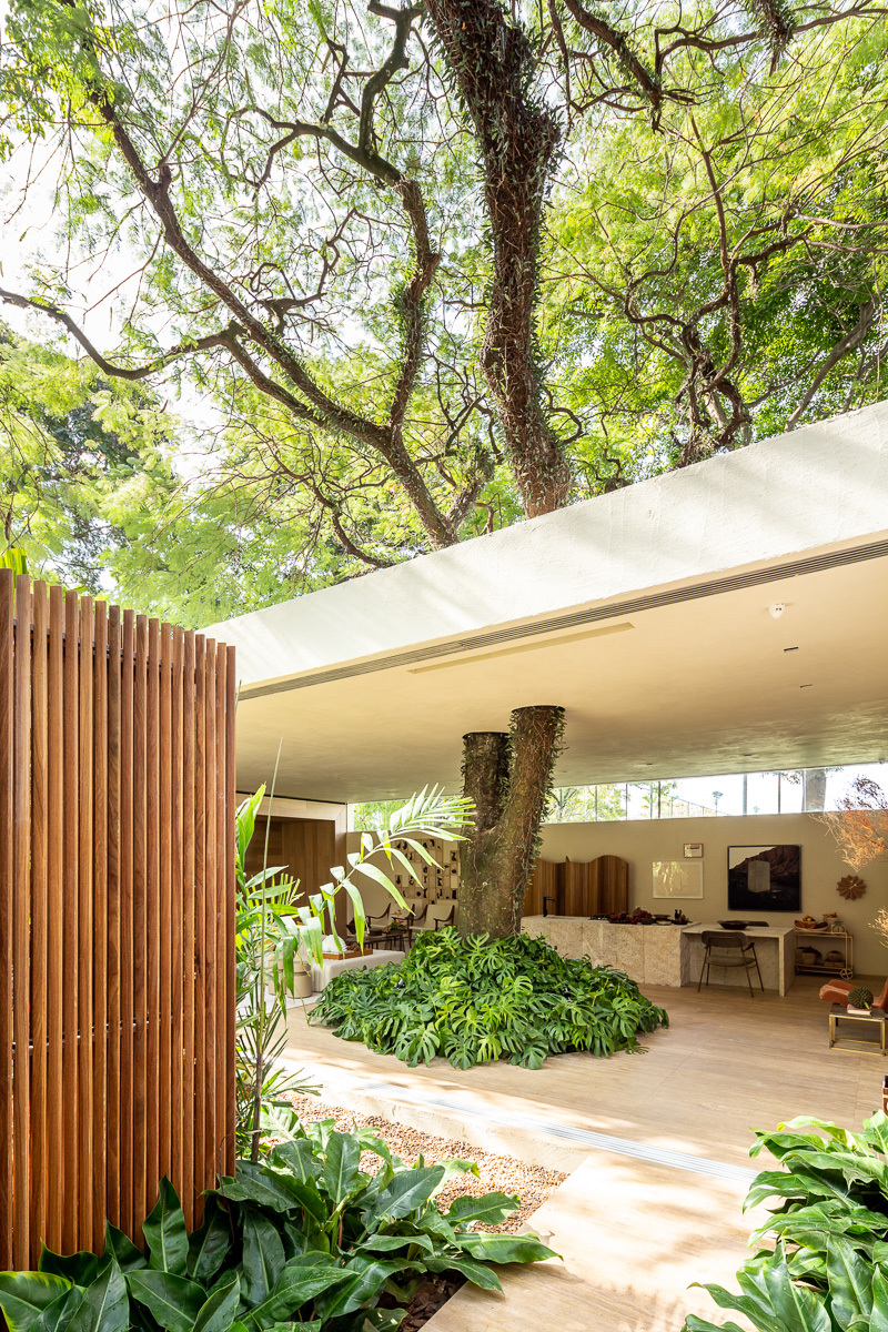 Galería de Casa del árbol / Suite Arquitetos - 5