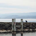 EPFL Students Build Wooden Pavilions Around Lake Geneva's Shores - Image 1 of 4