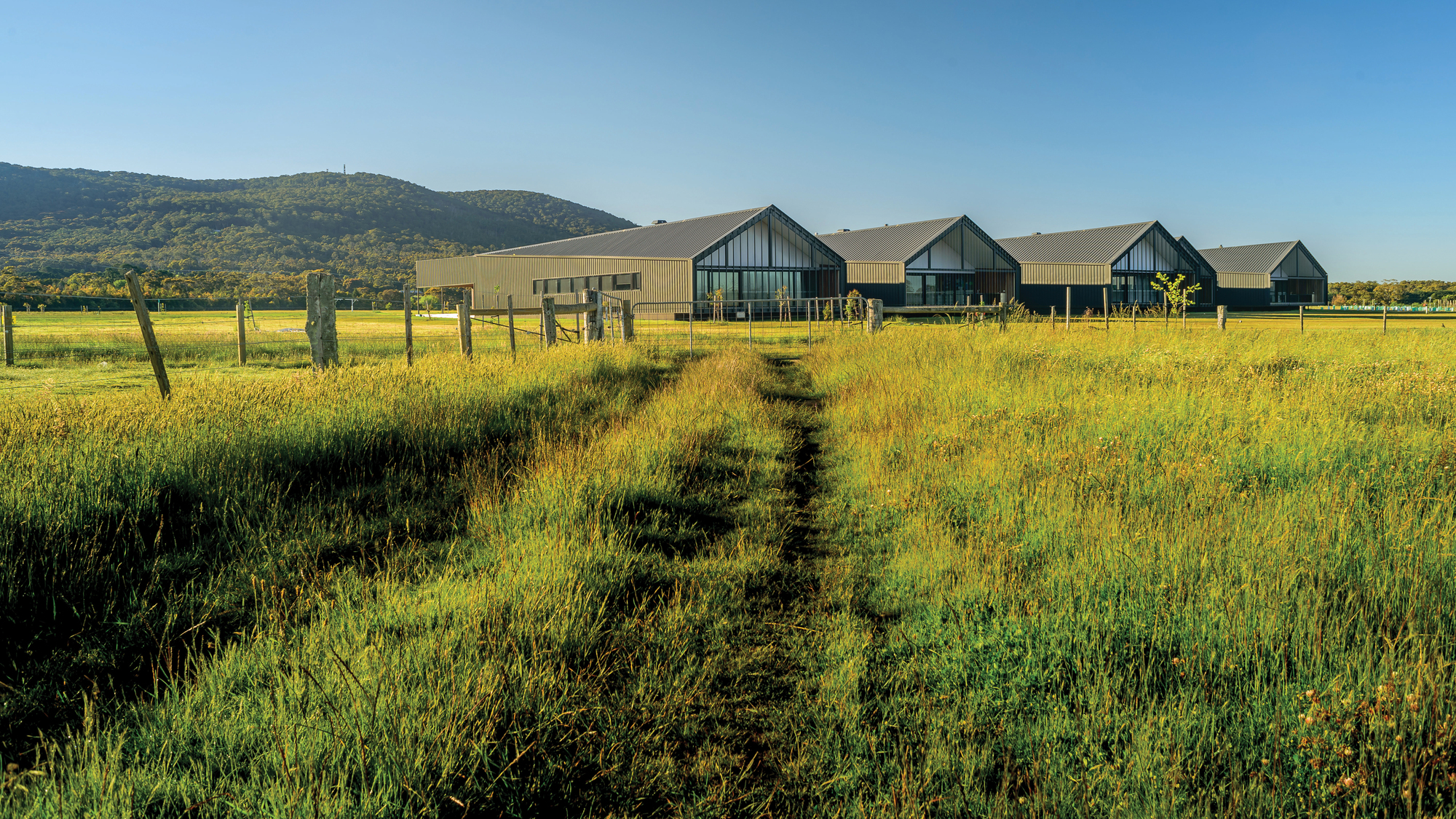 Galería de Braemar College / Hayball 11