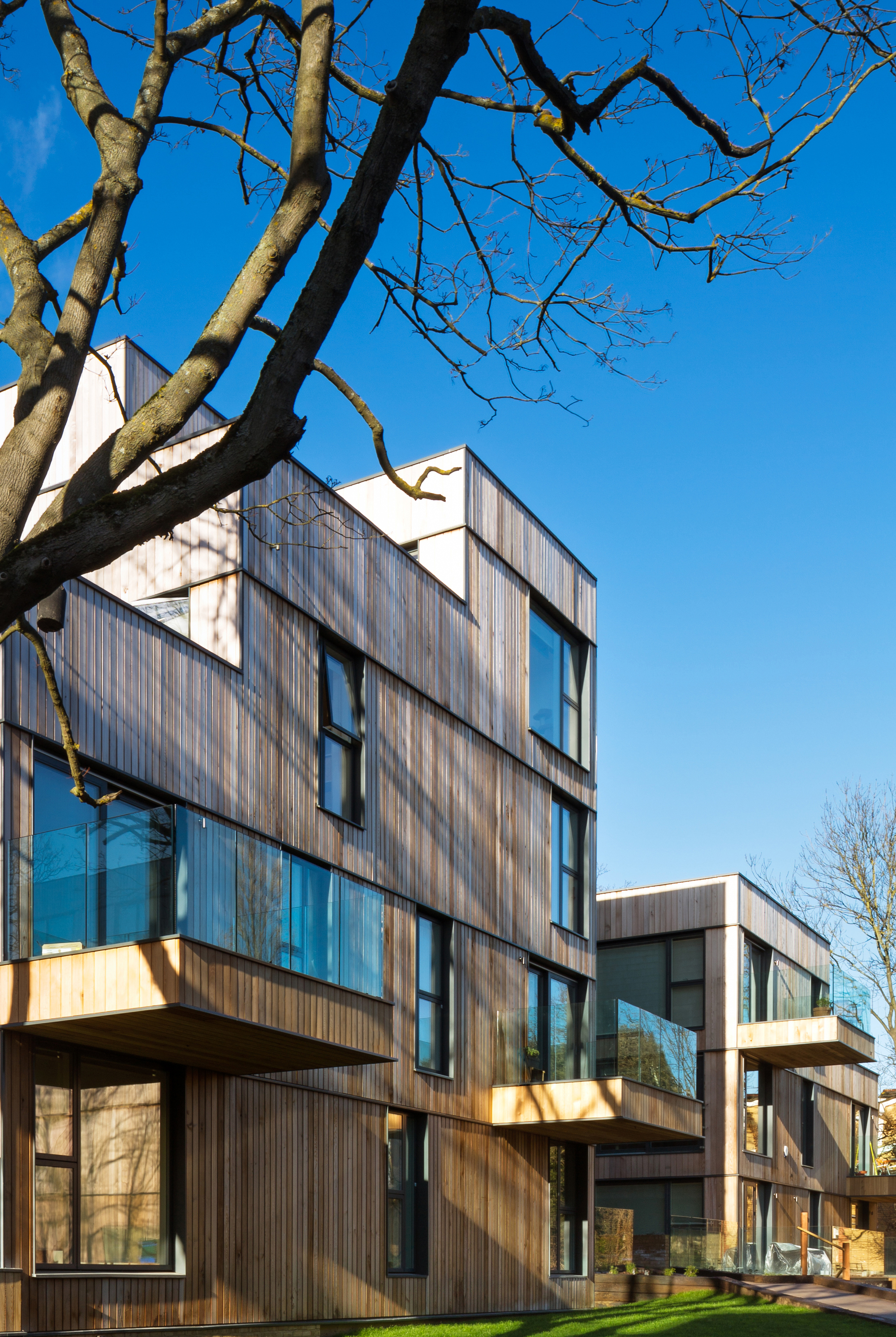 Gallery of Churchwood Gardens / Bryden Wood 6