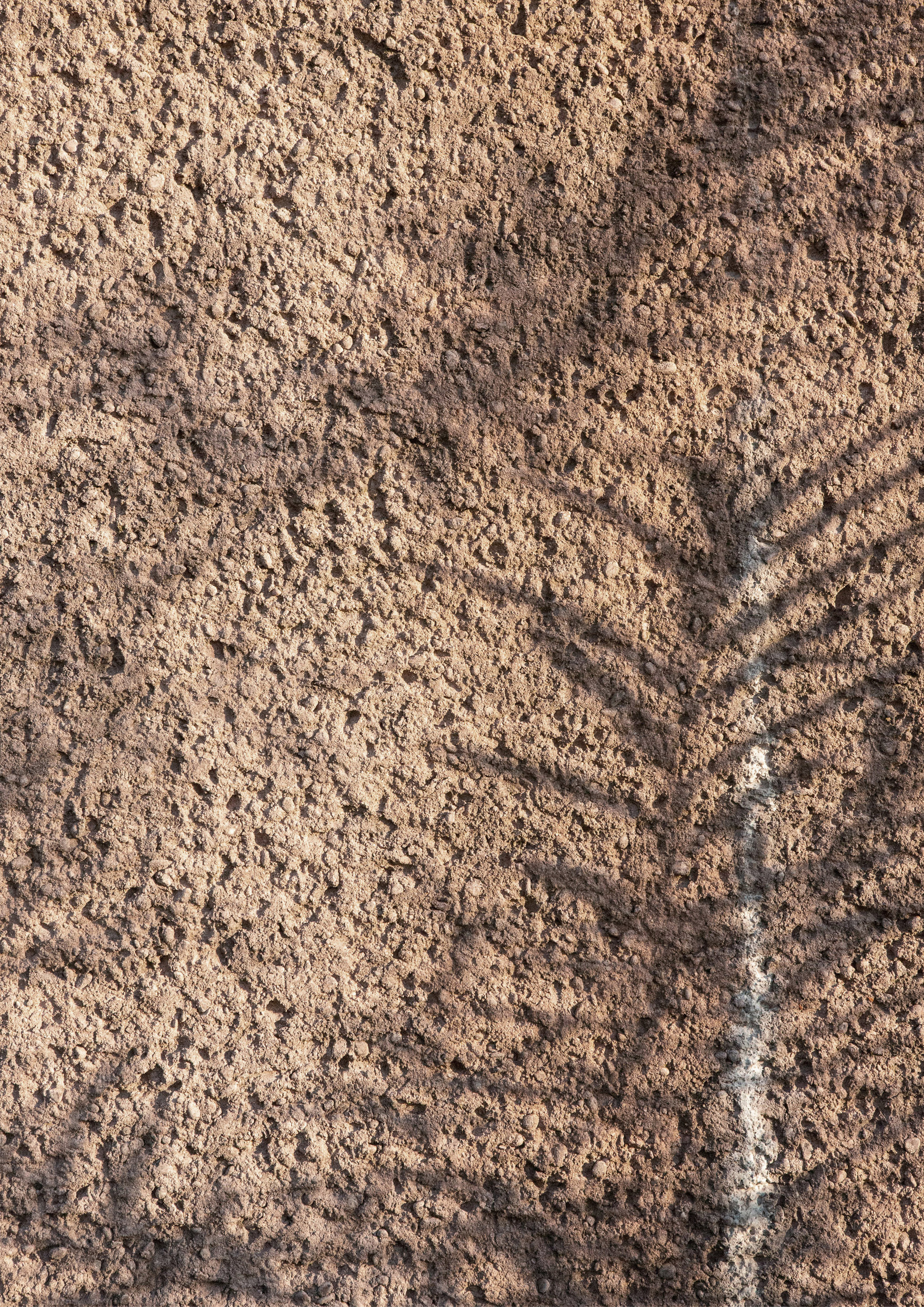 Gallery of Muttenz Water Purification Plant / Oppenheim ...