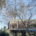 Casa del árbol / Estudio Botteri-Connell - Fachada