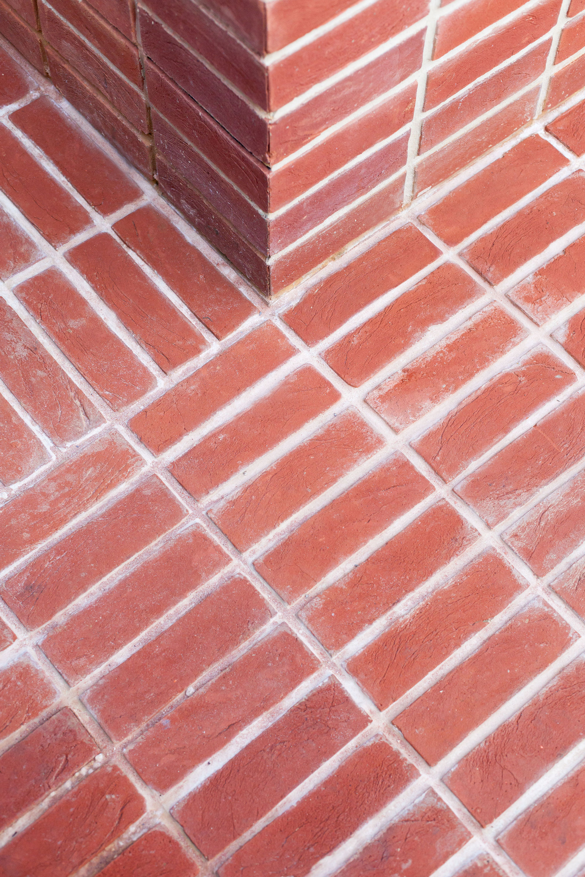 Gallery of Hive House / nimtim architects 15